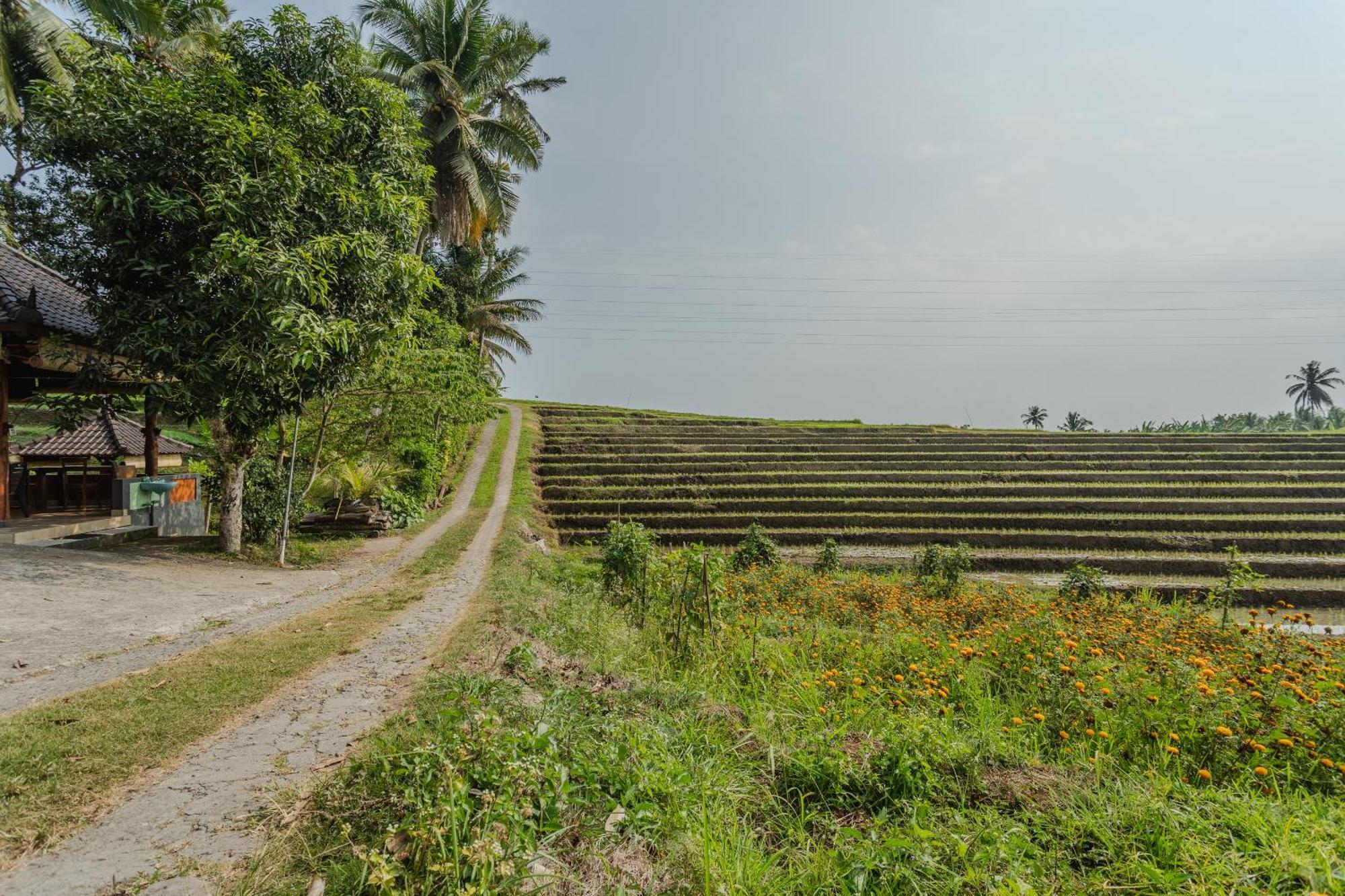 Pondok Hari Baik Balian Εξωτερικό φωτογραφία
